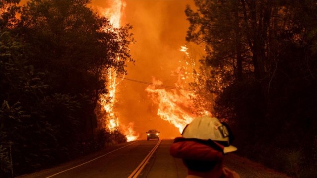 Pożary pustoszeją Kalifornię
