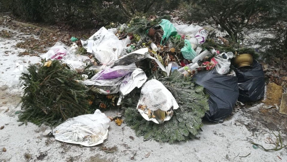 Na Cmentarzu Centralnym w Szczecinie piętrzą się sterty śmieci - informują nasi słuchacze. Fot. Słuchacz, Piotr Nowak