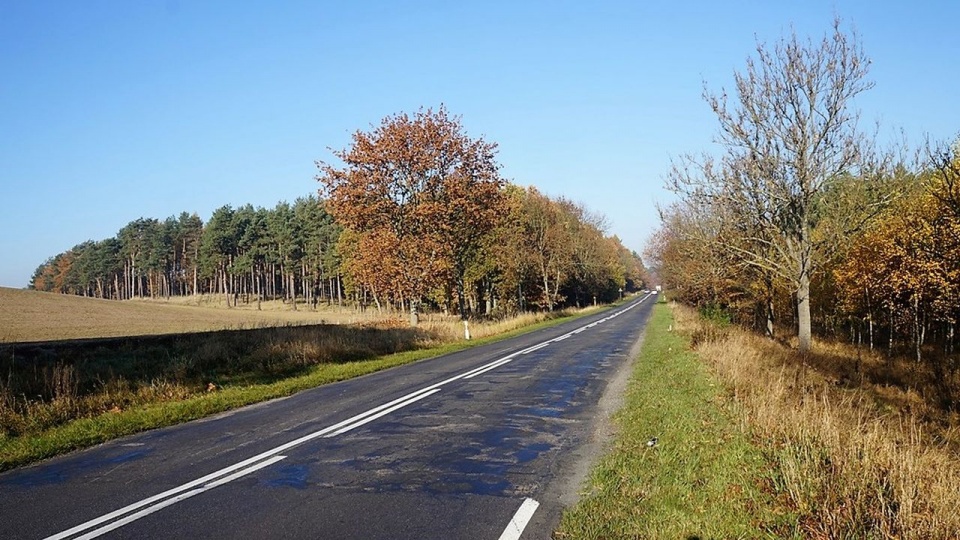 Droga wojewódzka nr 151 między Świdwinem a Gorzowem Wielkopolskim zostanie przebudowana. Fot. Urząd Marszałkowski