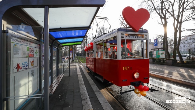 Walentynkowy tramwaj na ulicach Szczecina. Fot. Robert Stachnik [Radio Szczecin] Tramwaj miłości na święto zakochanych [ZDJĘCIA]