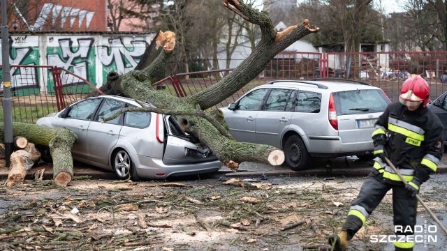 Powalone drzewa, przygnieciony samochód, spadające dachówki. Wichura w Szczecinie [WIDEO, DUŻO ZDJĘĆ]