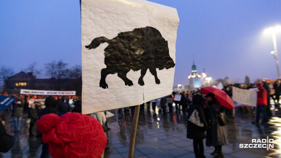 Protest zorganizowała Basta - Inicjatywa na Rzecz Zwierząt. Wzięło w nim udział około 300 osób. Fot. Robert Stachnik [Radio Szczecin]