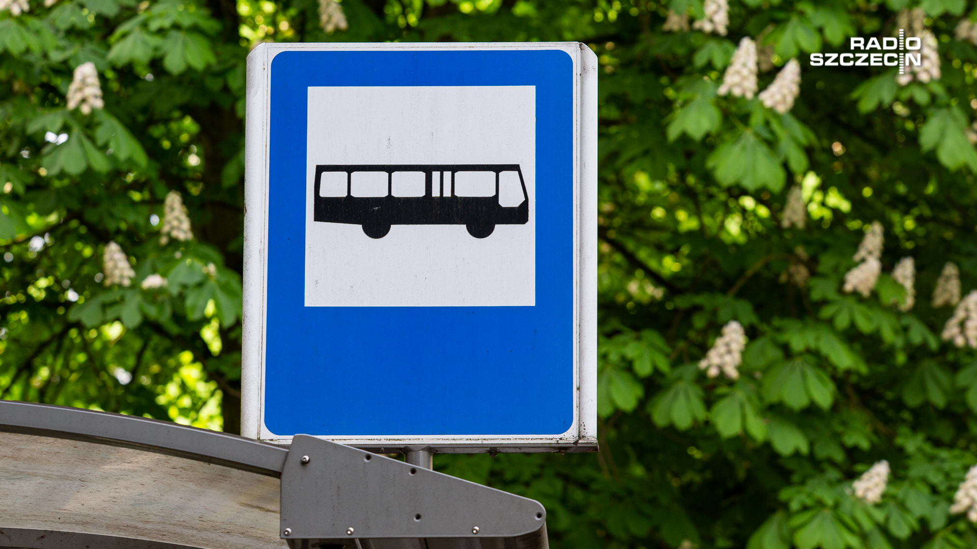 Drogowcy zawieszają przystanek autobusowy dla linii: 102, 103, 106, a także 524 i 526 w Policach.