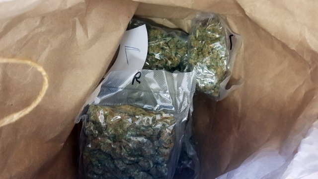 Fot. Komenda Miejska Policji w Koszalinie Miał kilogramy marihuany. Został zatrzymany [ZDJĘCIA]