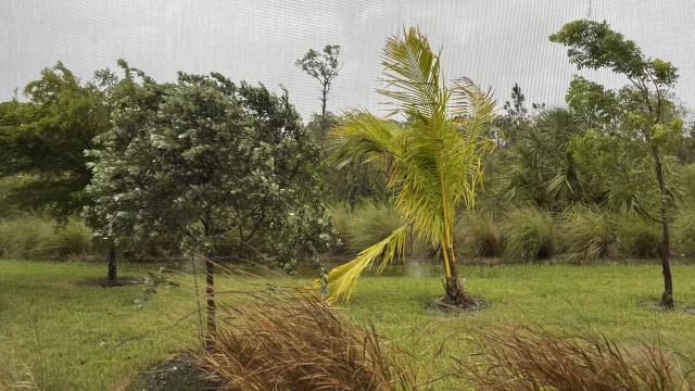 Prawie dwa miliony odbiorców bez prądu, wiatr o prędkości ponad 240 kilometrów na godzinę i ulewne deszcze - Floryda walczy ze skutkami huraganu Ian. Do wybrzeży Florydy dotarł w środę wieczorem naszego czasu.