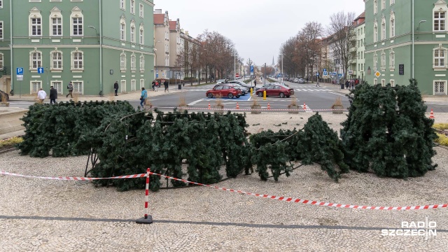 Trwa montaż wielkiej choinki przed Urzędem Miasta w Szczecinie. Tradycyjnie, jak co roku, będzie ona ozdobą budynku przy placu Armii Krajowej.