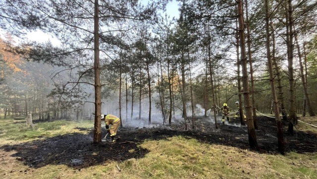 Fot. OSP Charzyno Pożar lasu pod Kołobrzegiem [ZDJĘCIA]