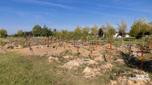 Fot. Robert Stachnik [Radio Szczecin] Kwatera bezdomnych na cmentarzu wreszcie posprzątana [WIDEO, ZDJĘCIA]