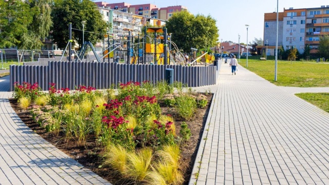 Ponad 3,5 tysiąca sadzonek pojawi się wkrótce w nowym parku na Osiedlu Zawadzkiego w Szczecinie.