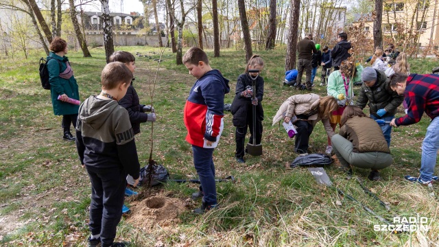 70 drzew zasadziło 20 uczniów ze Szkoły Podstawowej nr 71. To w ramach akcji Dęby dla Dąbia - prowadzonej przez Lasy Miejskie.