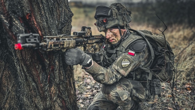 Szczecińska Dwunastka, amerykańska dywizja piechoty i brytyjska pancerna grupa bojowa w akcji - na poligonie w Drawsku Pomorskim trwają ćwiczenia Immediate Response-24.