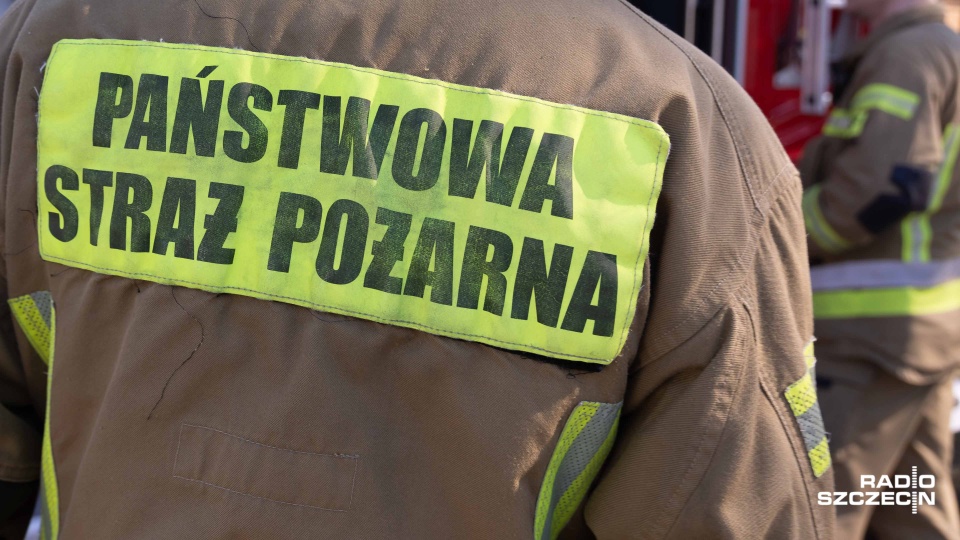 Zachodniopomorscy strażacy walczą z pożarem lasu