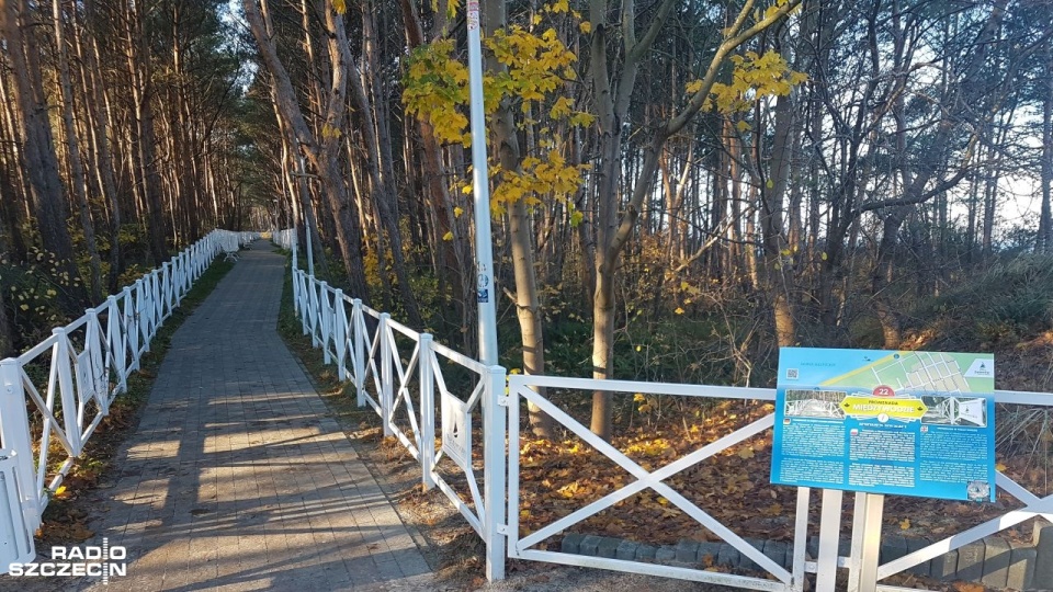 Bez komarów nad morzem? Jest taki plan