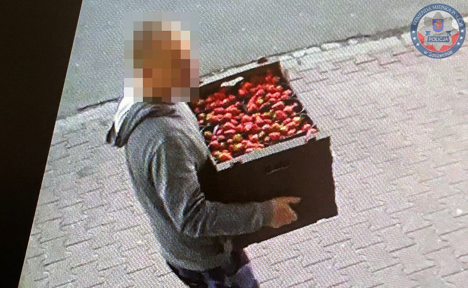 "Nielegalni budowlańcy" zatrzymani w Szczecinie