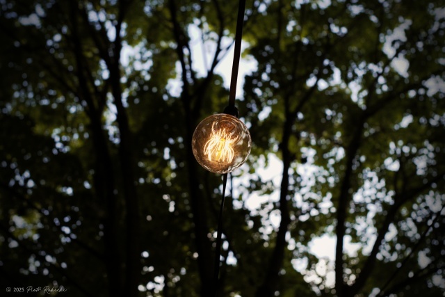 Figger & Maja Laura, fot. Piotr Rokicki 