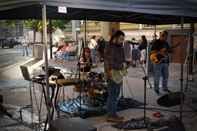 Midnight Dreams, fot. Piotr Rokicki 