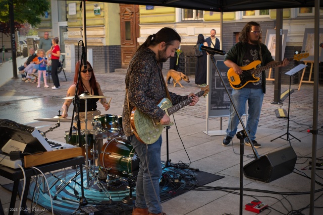 Midnight Dreams, fot. Piotr Rokicki 