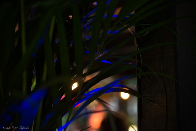 Ina West, fot. Piotr Rokicki 