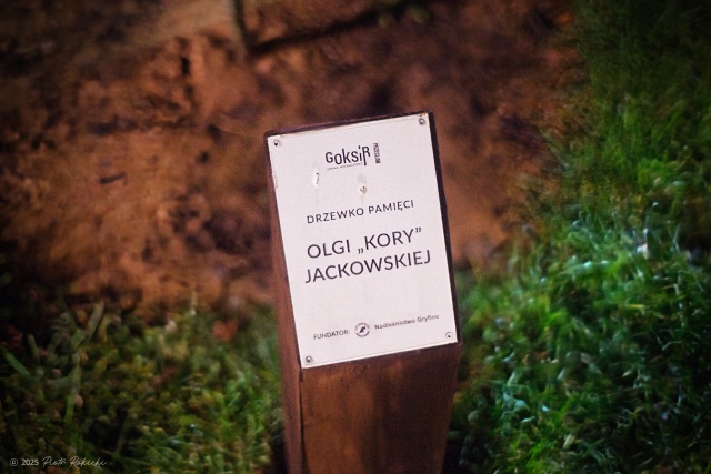 Pamiętamy o... Ciechowskim, fot. Piotr Rokicki 