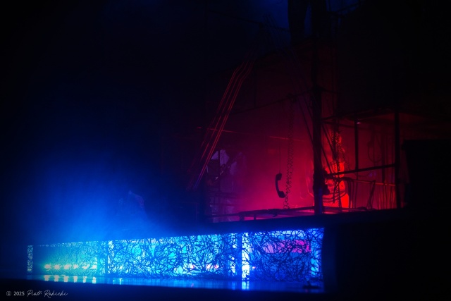 Pamiętamy o... Ciechowskim, fot. Piotr Rokicki 