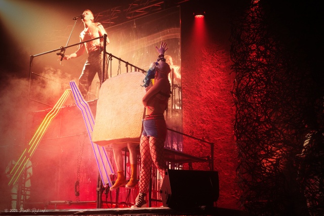 Pamiętamy o... Ciechowskim, fot. Piotr Rokicki 