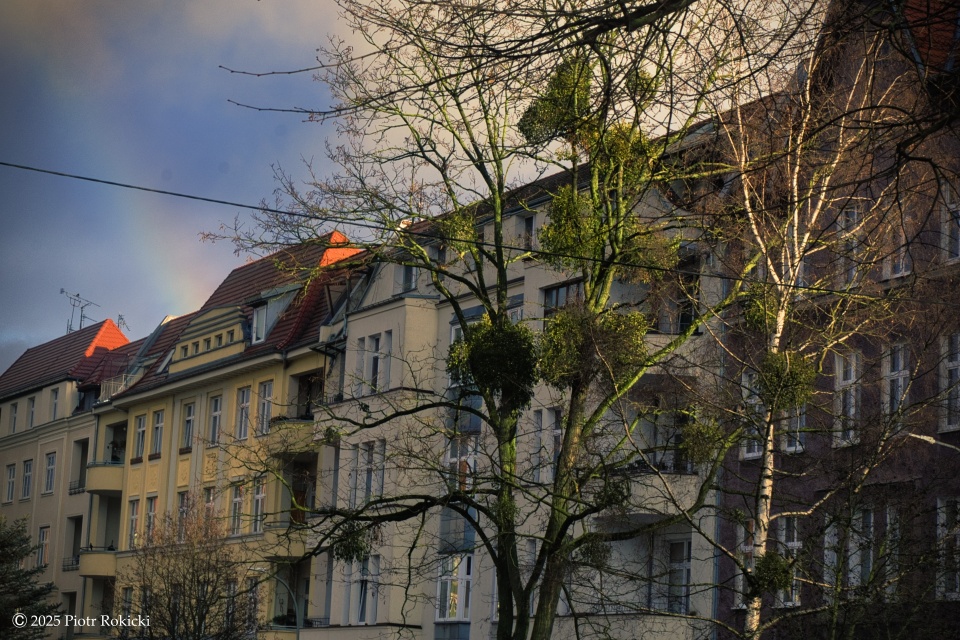 fot. Piotr Rokicki