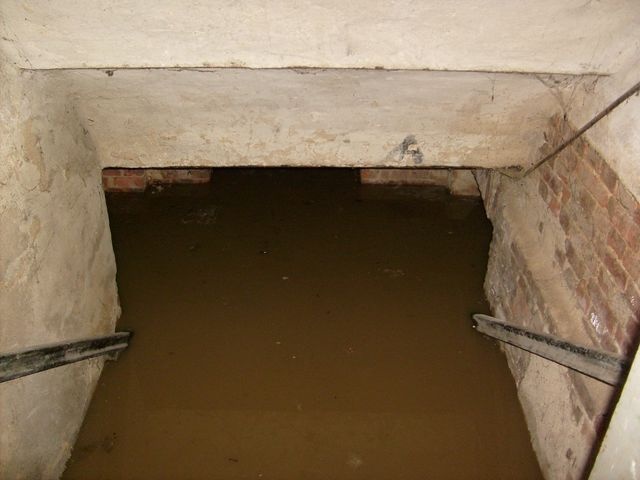 piwnica przy ul.Wiszesława [31.01.2013]