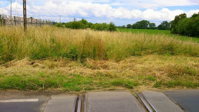 Na tym "przejeździe kolejowym" jest znak STOP - fot.słuchacz [26.06.2014]