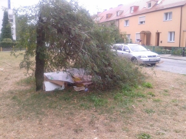Koczowisko bezdomnego w parku przy ul.Spółdzielczej-fot.słuchacz [29.07.2014]