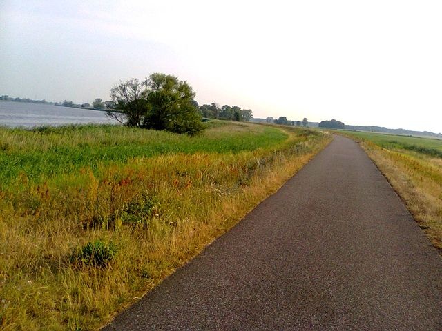 Trasa rowerowa nad Odrą w okolicach Mescherina - fot.słuchacz [29.07.2014]