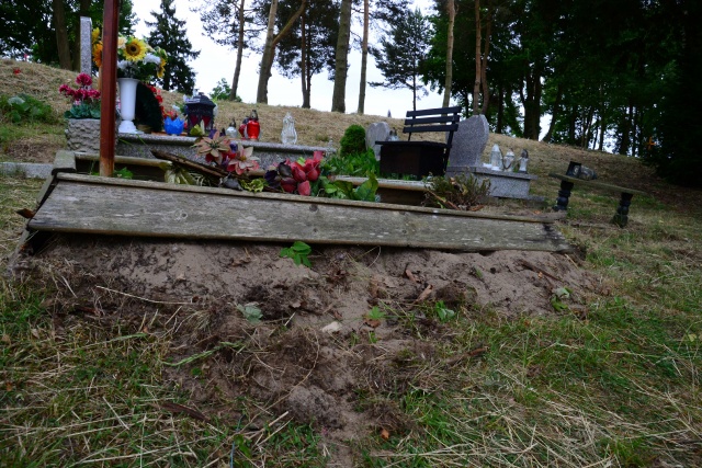 Dziki zryły teren cmentarza w Lubinie na wyspie Wolin, fot. Andrzej Ryfczyński/ikamien.pl 19.06.2015