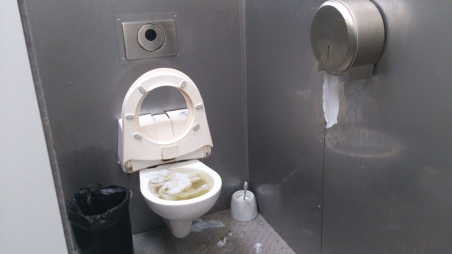 Toaleta - Dni Odry 17.07.2015