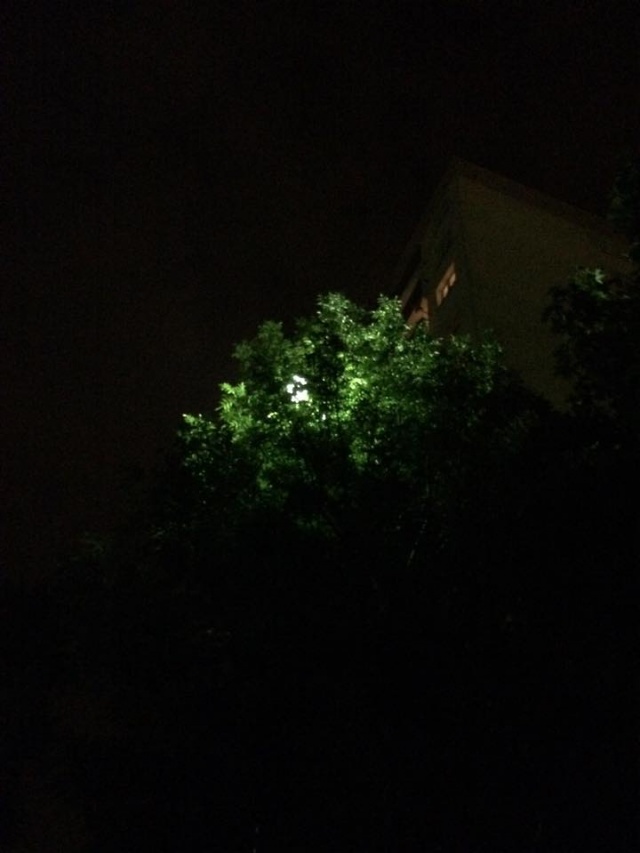 Liście zasłaniają latarnie - teren SM Współny Dom - fot słuchacz 5.10.2015