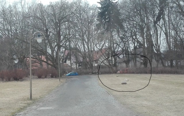 Rozjeżdżony parking 30.03.2018