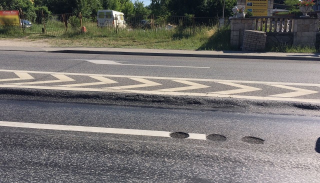 Koleiny w Płoni, fot. S. Orlik 13.06.2018