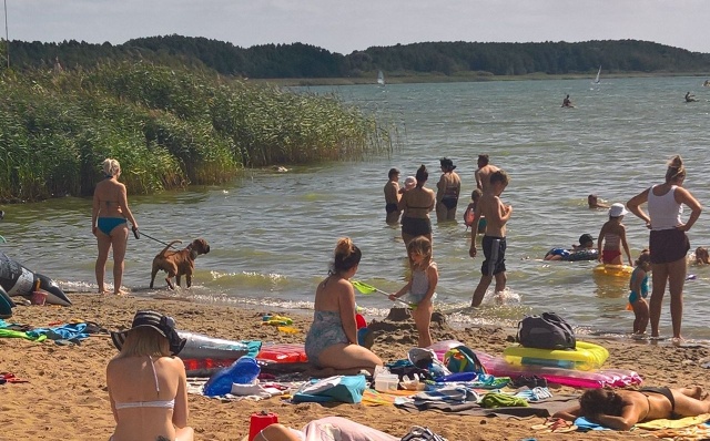 Pies na plaży nad Miedwiem, fot. Słuchacz, pan Łukasz 14.08.2019