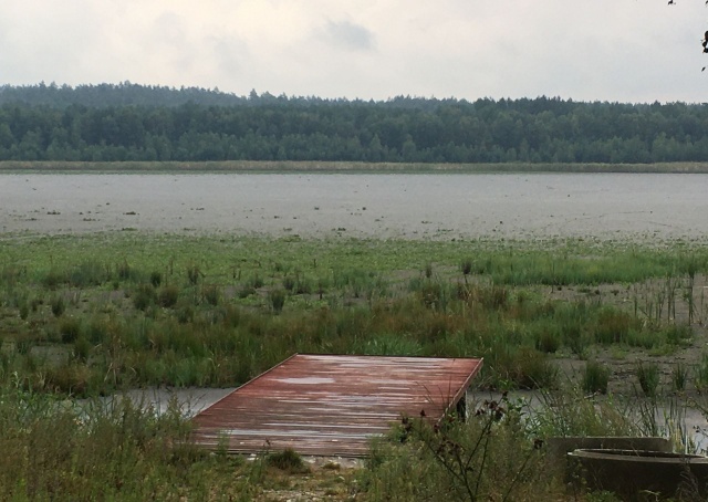 Jezioro Piaski, fot. Janusz Wilczyński 24.08.2020