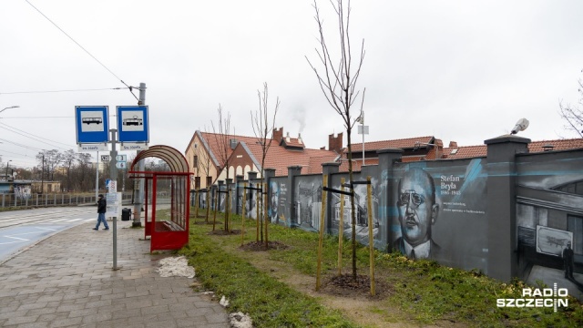 Drzewa przed muralem, fot. Robert Stachnik, PR Szczecin 11.01.2021