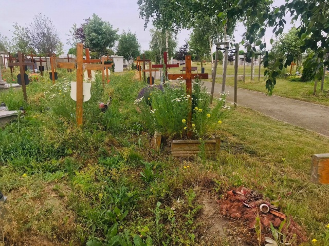 Cmentarz przy ul. Bronowowickiej, źródło: https://www.facebook.com/profile.php?id=100063550749915 25.06.2021