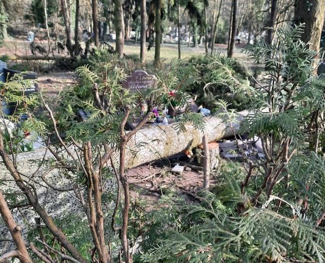 Krajobraz po wichurach na Cmentarzu Centralnym, fot. Słuchacz 01.03.2022