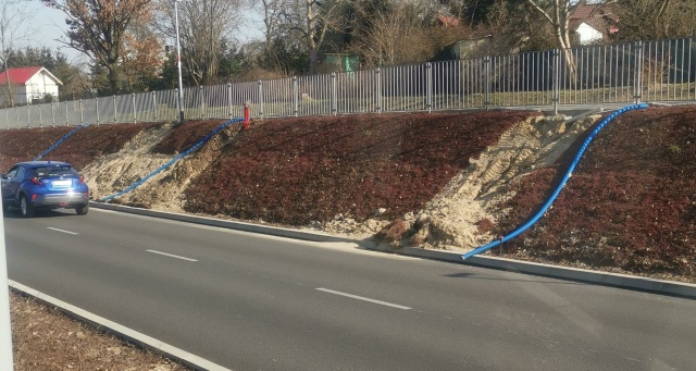 Mata rozchodnikowa na ul. Szafera, fot. Słuchacz, pan Rafał 25.03.2022