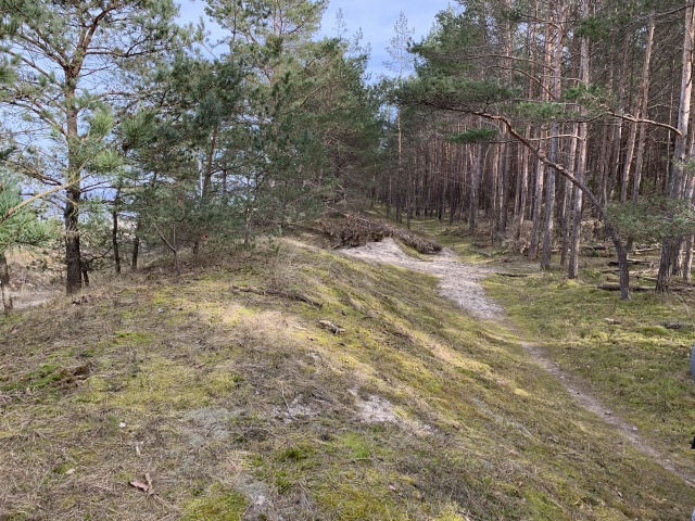 Dukt leśny Świnoujście - Międzyzdroje, fot. www.swinoujscie.pl 20.06.2023