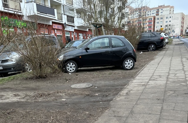 Auta przy ul. Łuczniczej, fot. Słuchaczka, pani Zofia 24.02.2025