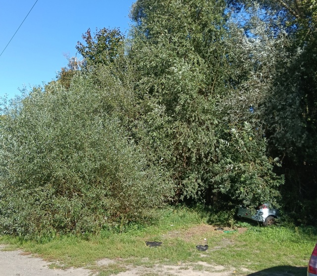 Wrak na os. Bukowym, fot. Słuchacz, pan Marek 29.09.2025