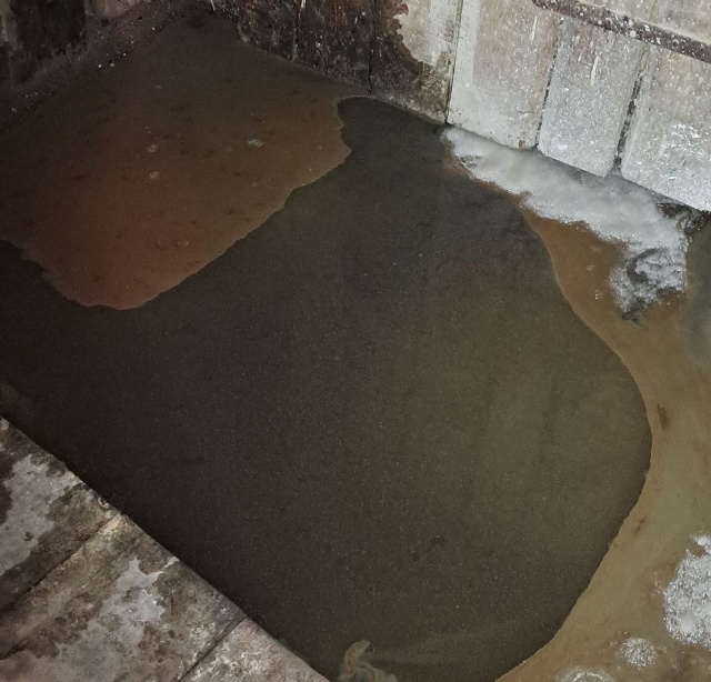 Zalana piwnica w kamienicy przy Al. Powstańców Wielkopolskich, fot.Słuchaczka, pani Marzena 23.02.2026