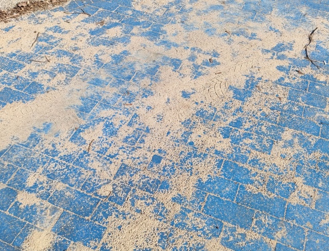 "Pamiątki po zimie", fot. Słuchacz, pan Bogusław 24.03.2026