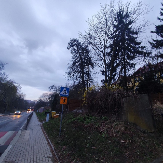 Grusza przy ul.Warcisława - fot.Słuchacz 27.03.2026