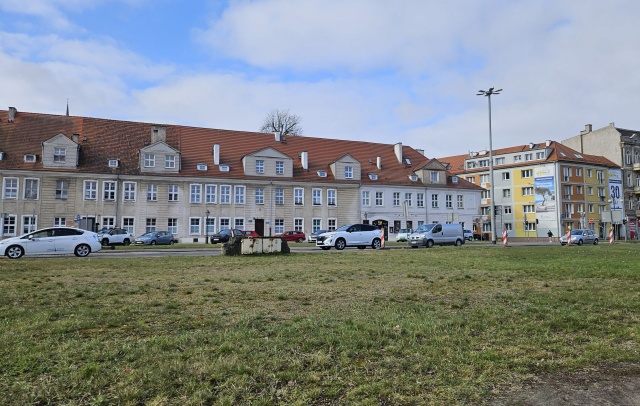 Krokusy przy Trasie Zamkowej - zdjęcie z 31.03.2026 31.03.2026