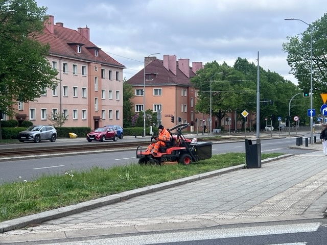 Przycinanie trawy "na krótko" - al.Mickiewicza - fot.Słuchaczka 12.05.2026