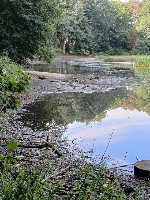 Wysychający Staw Wędkarski w Szczecinie - fot.Słuchaczka 1.09.2026